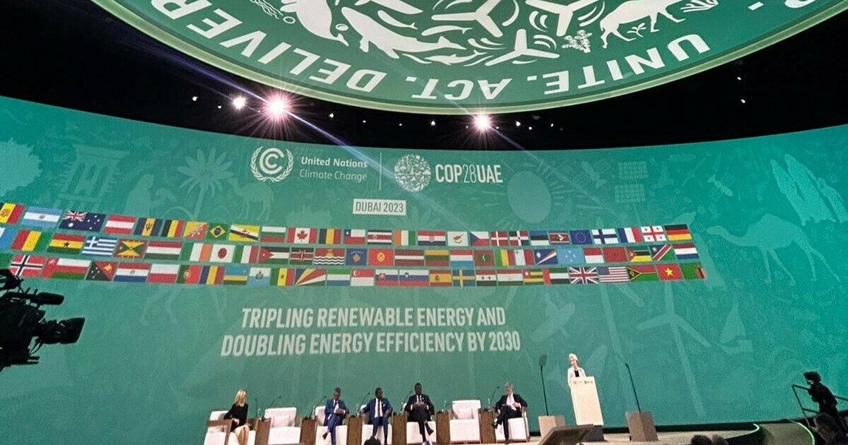 COP28 is over, long live COP29! | Green Economy Coalition