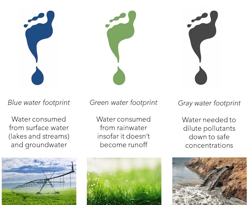 Grey water vs. Green water : What are green and GREY water footprints?