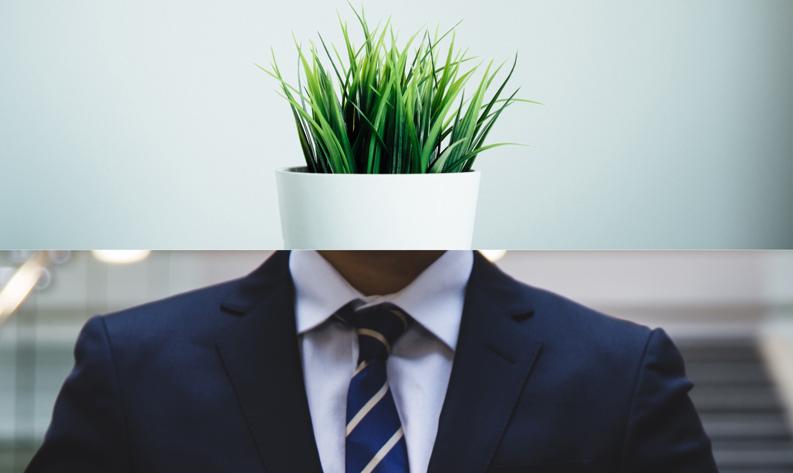 10 affordable ways to become a green\u2026 | Green Economy Coalition