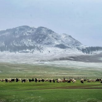 Mongolia impact blog