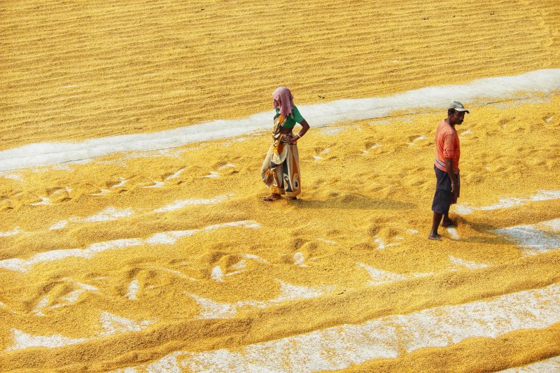 India DA impact blog 2