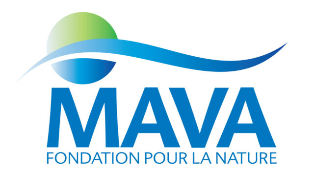 Mava foundation