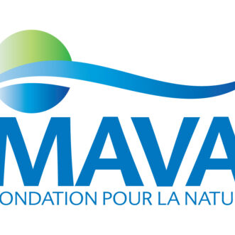 Mava foundation