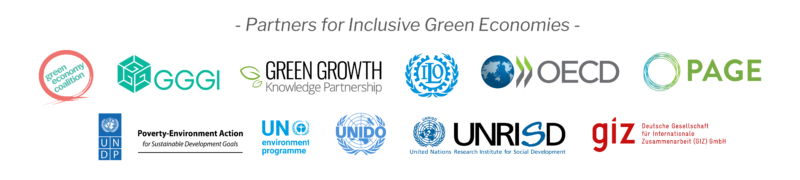 Partners for Inclusive Green Economies logo swarm June 2020 GIZ adjusted