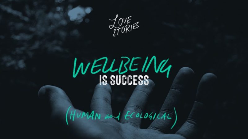 Storiesforlife c6 wellbeingissuccess logo alt 1200x652