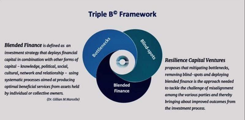 Blended Finance illustration