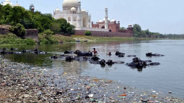 Yamuna river