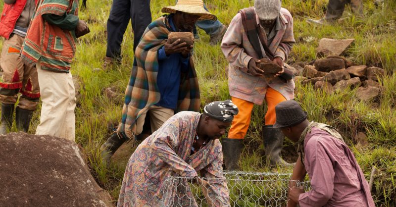 0319　THE SOUTHERN AFRICAN ENVIRONMENT Protecting South African ecosystems to… | Green Economy Coalition