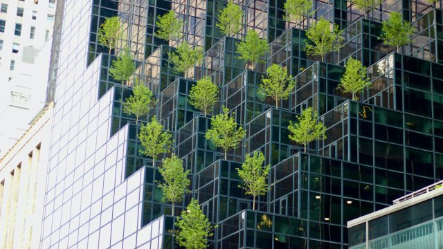 Lo lindo I Sex BO5 D Ah I unsplash