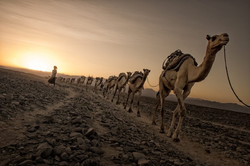 Ethiopia Andrea Moroni Flickr